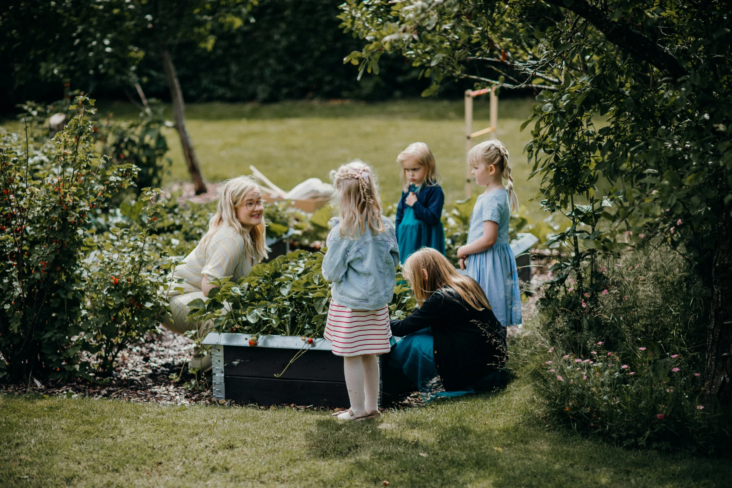 Euphorbia and Kids: The Garden Plant That Catches Parents Off Guard